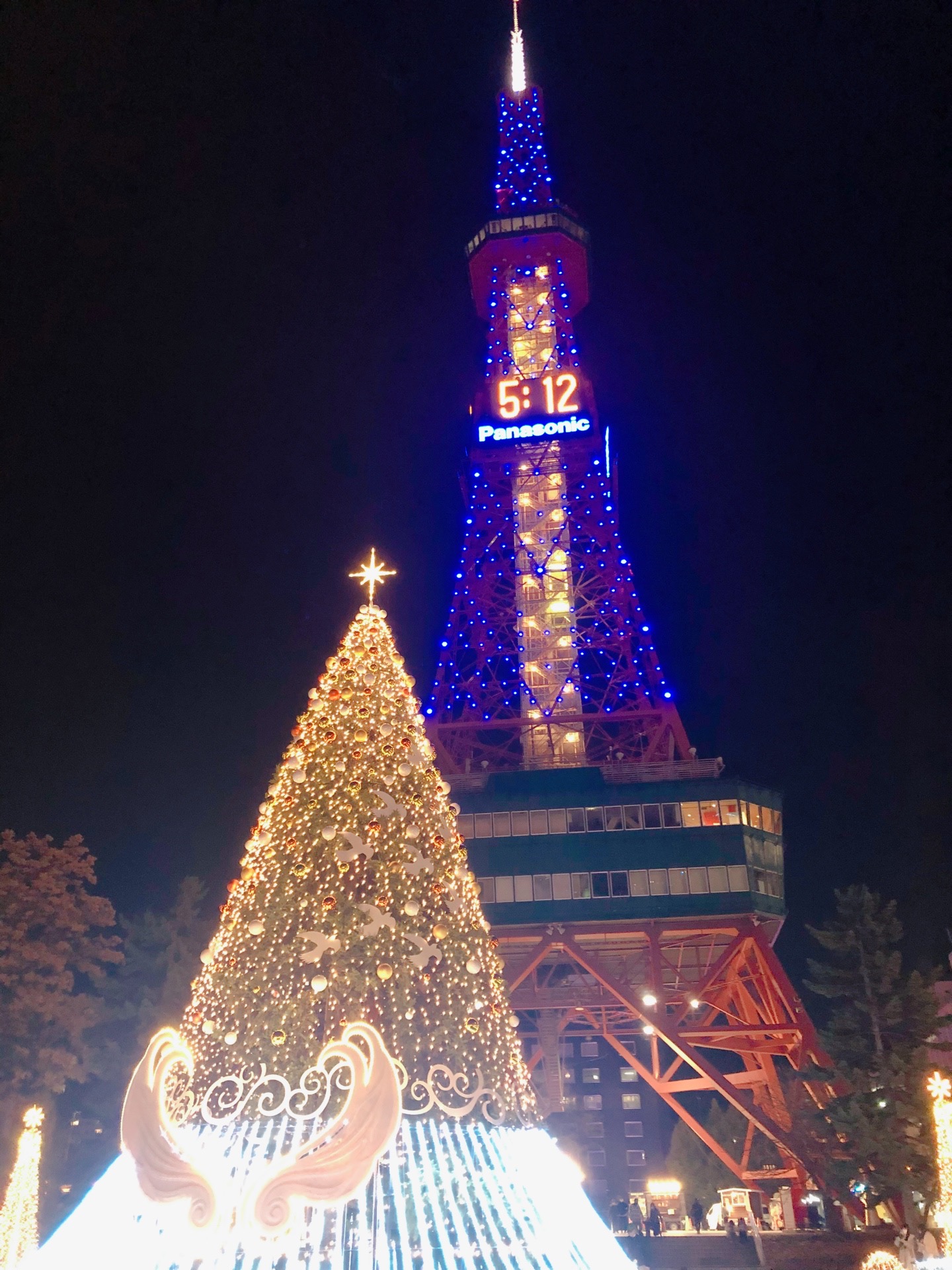 大通1丁目にあるシンボルツリーです イルミネーションは期間中毎日16時半 から22時までライトアップされます